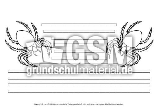 Spinne-mit-Lineatur.pdf